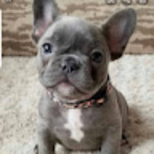 Meet your Posher, Paulina